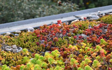 the cost of Butterleigh green roof installation