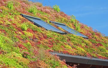 Butterleigh living roof systems