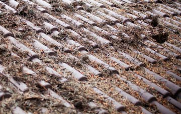 Butterleigh roof cleaning companies