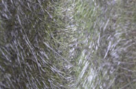 Butterleigh fibreglass roof work